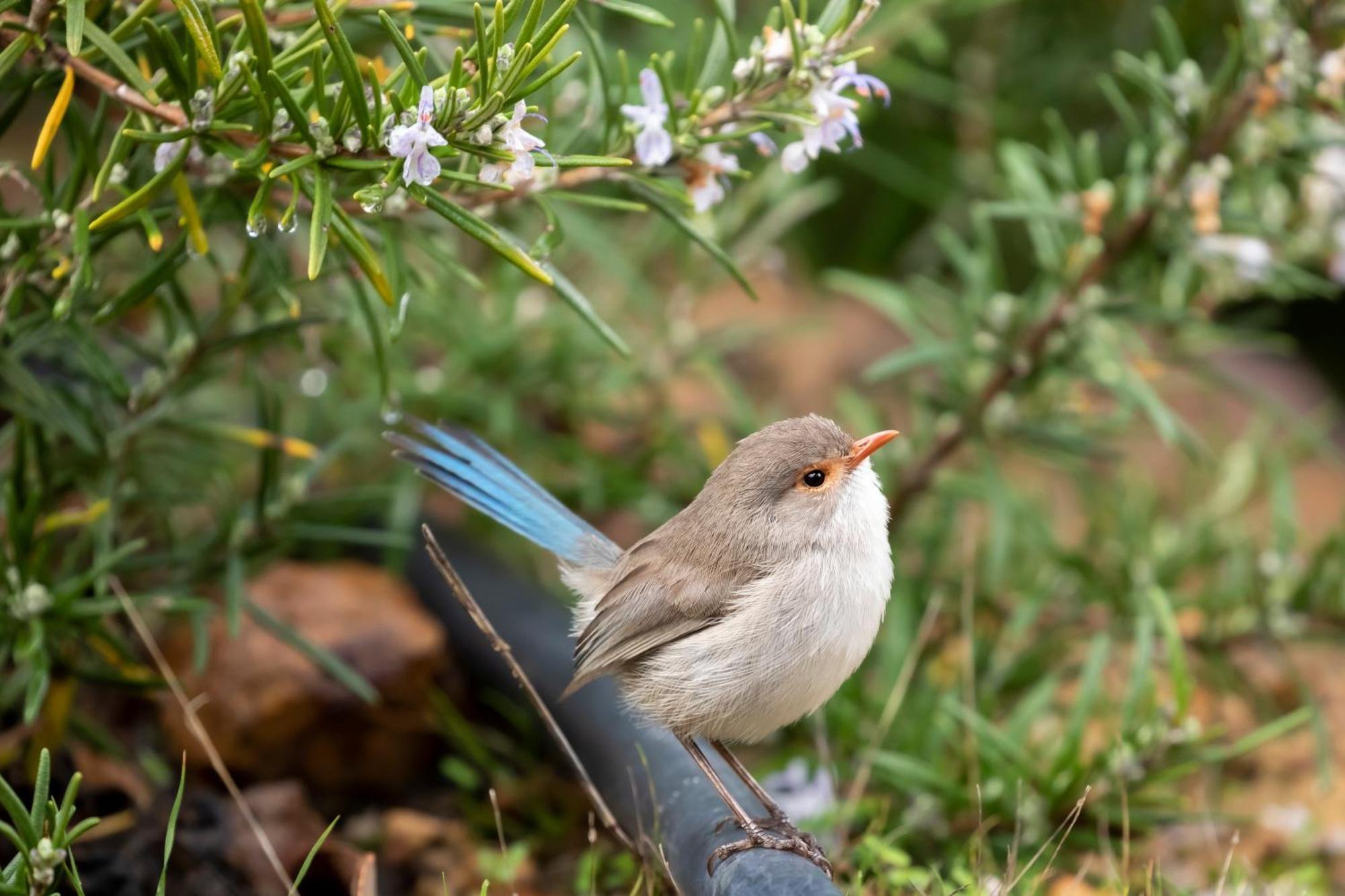 Yelverton Brook Conservation Sanctuary Metricup ภายนอก รูปภาพ