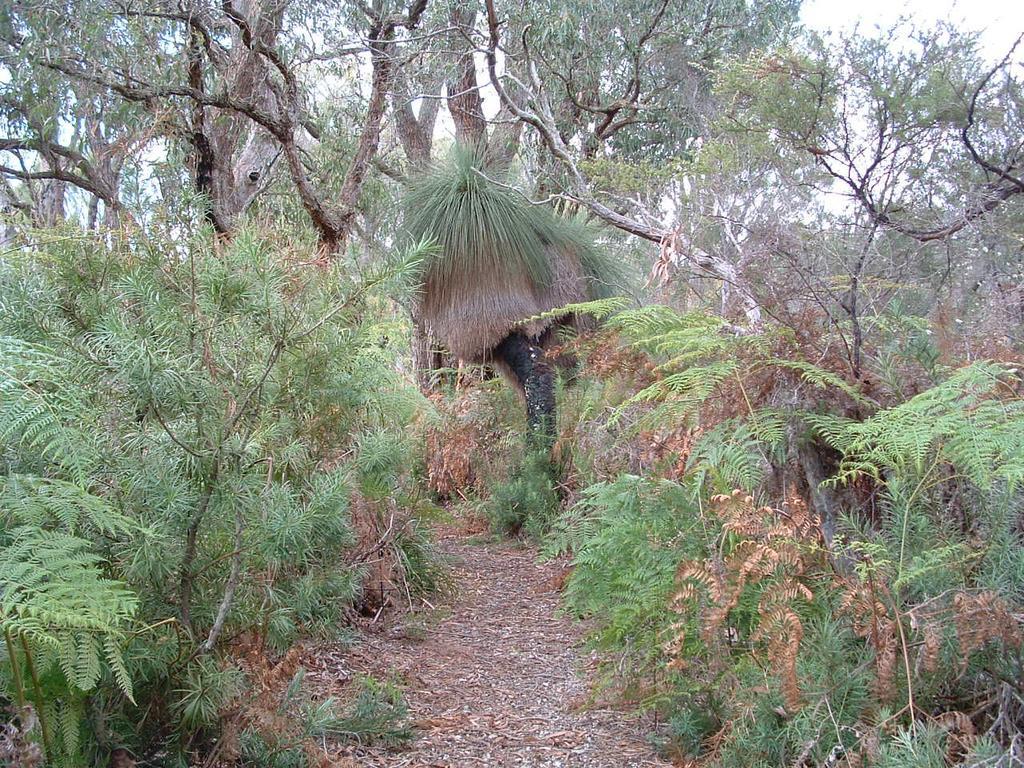Yelverton Brook Conservation Sanctuary Metricup ภายนอก รูปภาพ